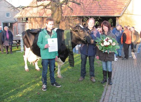 Die schwarzbunte Holsteinkuh Sena vom Betrieb Hartmut Ochse in Frankenberg-Dörnholzhausen hat sich in die Riege der hessischen 100 000-Liter-Kühe eingereiht. Mit einer durchschnittlichen Leistung von 12 452 kg Milch hat sie die magische Grenze in der achten Laktation überschritten und die höchste Leistung mit 13 996 kg Milch und 3,91 Prozent Fett sowie 3,37 Prozent Eiweiß in der vierten Laktation erbracht. Sena ist eine Tochter des Bullen Gigolo und geht auf der Mutterseite auf den Bullen Astre zurück. Wie die meisten Kühe in der Herde von Familie Ochse, wurde auch Sena der Bewertungskommission vorgestellt und nach dem dritten Kalb mit einer Gesamtpunktzahl von 86 sehr gut eingestuft. Nachdem im vergangenen Jahr bereits vier Herdengefährtinnen für eine Lebensleistung von über 100 000 Liter geehrt wurden, dokumentiert Sena das gute Herdenmanagement sehr eindrucksvoll. Viele Besucher und Züchterkol­legen gratulierten Familie Ochse bei der Ehrung im Rahmen der Betriebsbesich­tigung beim zwölften Waldeck-Frankenberger Rindertag vorige Woche und wünschten weiterhin viel Erfolg. Text/Foto: Ute Ermentraudt, LLH Korbach