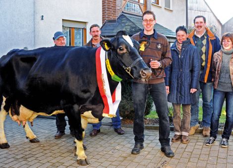 Nopoli auf dem Hof der Familie Bug in Böckels verschafft der Grünlandregion Fulda weitere Ehre. Die Kuh reiht sich in den Club der 100 000-Liter-Kühe ein. Munter und mit stabilem Fundament hört man über die Kuh auf dem Betrieb Bug GbR lobende Worte von Jost Grünhaupt, Zuchtleiter vom Landesbetrieb Landwirtschaft Hessen. Züchterische Erfolge haben Landwirt Matthias und Ehefrau Annette Bug bereits in der Pferdezucht verbucht, nun kommt eine Auszeichnung in der Milchwirtschaft hinzu. „Sie strotzt vor Kraft, trotz ihrer zwölf Jahre, und gab im Mittel 12 000 kg Milch/Jahr“, betonte Grünhaupt und nannte eine Jahreshöchstleistung mit 13 500 Litern. „Dabei hat sie nur sechsmal gekalbt“, was großes Betriebsmanagement bedürfe, um die Kuh immer wieder gut in die Laktation hineinzubringen. Der Zuchtleiter stellte die Eutergesundheit heraus. Hervorragende Gene habe ihr der Vater Basar sowie die Mutter weitergegeben, die bereits bei 9 000 kg pro Jahr gelegen habe. Der Gesamtzuchtwert liege mit 115 sehr hoch. Matthias Bug und Sohn Christian nahmen die Glückwünsche entgegen, unter anderem von Achim Lorey (Hessischer Verband für Leistungs- und Qualitätsprüfungen in der Tierzucht), Kreislandwirt Emil Funk, zugleich in der Funktion der Zucht- und Besamungsunion Hessen, Dr. Hubert Beier für den Kreisbauernverband Fulda-Hünfeld sowie Joachim Vogt von der Molkerei Hochwald. Auf dem Foto, von links: Paul Wehner, Josef, Christian, Annette, Matthias und Stefanie Bug. Text/Foto: Karl-Heinz Burkhardt
