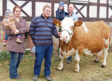 Nach Abschluss von neun Laktationen stellte die Familie Metz aus Kirtorf mit ihrer Romen-Tochter Melanie ihre erste Kuh mit einer Lebensleistung von über 100 000 kg Milch vor. Die hohe Leistungsveranlagung der Kuh kommt durch sechs aufeinan­derfolgende Laktationen von 10 000 bis 11 000 kg Milch deutlich zum Ausdruck. Auch der Eiweißgehalt liegt mit 3,52 Prozent auf einem hohen Niveau. Der Erfolg, den die Familie Metz vorstellen konnte, ist auch auf eine besonders geglückte Kombination der beiden Spitzenvererber Romen und Horst zurückzuführen, die über viele Jahre hinweg die überregionale Fleckviehzucht geprägt haben und in einer Großzahl von Pedigrees heutiger Spitzentiere zu finden sind. Maßgeblich mit zu diesem Erfolg hat sicherlich die hervorragende Betreuung der Milchviehherde auf dem Hof von Familie Metz beigetragen, wobei Sonderbehandlungen aufgrund des umfangreichen Viehbestandes und der starken Flächenausstattungen auch hier generell nicht möglich sind. Text/Foto: Jost Grünhaupt, LLH Kassel