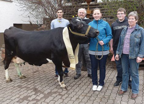 Auf dem Betrieb Thomas Siepl in Schlitz konnte kürzlich ein freudiges Ereignis gefeiert werden. Die Holsteinkuh Moni überschritt als erste Kuh der Herde die hohe Dauerleistungsgrenze von 100 000 Liter Milch. Moni ist am 21.Dezember 2000 im Anbindestall der Familie Siepl geboren und stammt von dem in Holland gezogenen Lord Lily-Sohn Edward ab. Ihre Mutter war eine Tochter des Blackstar-Sohnes Bodo. Sie startete in den ersten Jahren gleich mit hohen Milchleistungen und erreichte ihre Höchstleistung von 12 625 Kg Milch schon in der dritten Laktation. Die 100 000-Liter-Grenze überschritt sie bereits mit acht Laktationen bei einer mittleren Laktationsleistung von 11 346 kg Milch mit 3,93  Prozent Fett und 3,10 Prozent Eiweiß. Moni wurde nach der ersten Kalbung im Rahmen der Nachzuchtbewertung mit 81-79-83-83=82 Punkten eingestuft. Besonders auffallend ist ihre gute Fitness, dass nach acht Kalbungen noch festsitzende, drüsige Euter und die niedrigen Zellzahlen. Auch ihre Fruchtbarkeit ist ungewöhnlich. Moni hatte bei acht Kalbungen zwei Zwillingsgeburten und somit bereits zehn Kälber bekommen. Von ihren vier weiblichen Nachkommen befinden sich noch zwei Töchter in Milch in der Herde. Moni ist wieder tragend von Scorpion und hat sicherlich das Potenzial noch einige Laktationen lang Milch zu produzieren. Die Rinderzüchter gratulieren zu diesem züchterischen Erfolg. Text/Foto: Wilhelm Vackiner, LLH Alsfeld