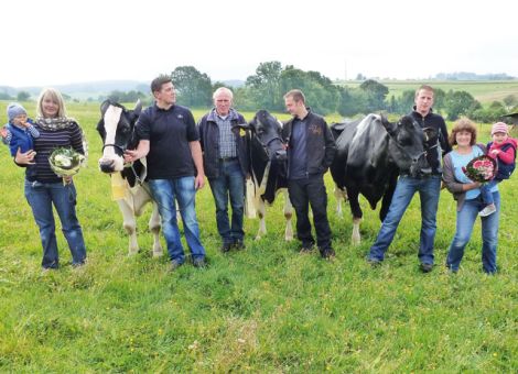 Zu den bekannten Holsteinzuchtbetrieben in Hessen in Bezug auf die Dauerleistung gehört der Betrieb der Familie Micha­el und Wilfried Seipel aus Feldatal-Stumpertenrod. Nach drei Kühen in den vergangenen Jahren überschritten jetzt gleich drei weitere Kühe die 100 000 kg-Milch-Grenze sowie eine Kuh die Zehn-Tonnen-Grenze für die Milchinhaltstoffe Fett und Eiweiß. Die mit 87 Gesamt-Punkten sehr gut eingestufte Amaretto-Tochter Toskana kann neben einer hohen durchschnittlichen Milchleistung auch mit hohen 4,75 Prozent Fett und 3,63 Prozent Eiweiß überzeugen. Ihr hervorragendes Exterieur zeigt sich auch bei ihren Nachkommen. So konnte Michael Seipel eine im Jahr 2001 geborene Jolt-Tochter von ihr als Jungrind in Oldenburg vorstellen. Neben einem gekörten Sohn sind zwei hoffnungsvolle Töchter von Logical und Roy als Nachzucht vorhanden. Die Esquimau-Tochter Creta zeichnet sich neben einer hohen Dauerleistung an Milch ebenfalls durch gute 3,50 Prozent Eiweiß aus. Mit einem gekörten Mascol-Sohn und vier jüngeren Töchtern kann ihr Leistungsvermö­gen auch in der nächsten Generation weiter genutzt werden. Die dritte und älteste der Jubilarinnen, die Palermo-Tochter Corinna, hat eine stabile mittlere Milchleistung über viele Laktationen hinweg aufzuweisen. Einige ihrer 13 Nachkommen sind über die Zuchtviehauktionen verkauft worden. Mit der Bomber-Tochter Limona, die bereits im Frühjahr 2012 mit über 140 000 kg Milch die hohe Leistungsgrenze von 10 000 kg Milch-Fett und Milch-Eiweiß überschritten hat, konnte die Familie Seipel weiterhin eine der wenigen Zehn-Tonnen-Kühe, die es in Hessen gibt, den gratulierenden Landwirten und Gästen vorstellen, die anlässlich einer kleinen Jubiläumsfeier nach Stumpertenrod gekommen waren. Drei gekörte Söhne und mehrere Töchter sind von dieser vitalen Ausnahmekuh vorhanden.  Text/Foto: Wilhelm Vackiner, LLH