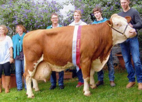 Dass züchterische Erfolge keine Zufallsprodukte sind, beweist die 100 000-Liter-Fleckviehkuh Heidi des Betriebes von Pia und Bernhard Hillerich in Reinheim-Überau. Seit 1963 wird dort systematisch Fleckviehzucht betrieben. Es wurde schon zu Beginn der Zuchtarbeit auf Langlebigkeit, Euterqualität und auf einen dem Zuchtziel entsprechenden Typ der Tiere hingearbeitet. So entwickelte sich die Kuhherde zu einer Spitzenherde in allen Merkmalen. Die Honer-Tochter Heidi ist im Januar 1999 geboren und weist neun Abkalbungen auf. Ihre Durchschnitssleistung liegt bei 10 801 kg Milch mit guten Inhaltsstoffen. Am Ehrentag mit Würdigung durch LLH-Zuchtleiter Jost Grünhaupt, produzierte Heidi bereits 108 000 Liter Milch. Schon als Jungkuh wurde Heidi hochprämiert, so bei der Pokalschau in Biebesheim 2001 als Publikums-Champion, bei Hessens Zukunft 2002 als Reservesiergerin und ebenfalls 2002 bei der Bundesfleckviehschau in Alsfeld mit einem ersten Preis. Dass Heidi ihre Typ- und Leistungsveranlagung auch weitergibt, beweisen ihre Töchter und Enkelinnen, die Leistungen von über 10 000 Liter erbringen und auf Tierschauen überzeugen. Hoffnung setzt der Betrieb auch auf den Manitoba-Sohn Milram aus der Heidi, der in der Rinderherde eingesetzt wird. Das Foto zeigt die Familie Hillerich und  den Auszubildenden Georg Hermes (2. v. r.).Text/Foto: Gerhard Pleik