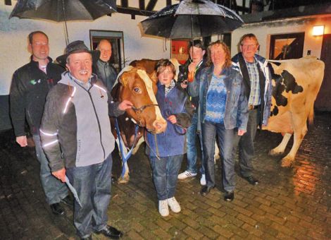 Was die Anzahl an 100 000-Liter-Kühen angeht, gehört der Holsteinzuchtbetrieb Trümner aus Gemünden-Schiffelbach zu den herausragenden Betrieben in Hessen.  Anlässlich des 50. Geburtstages von Heinz-Wilhelm Trümner konnten mit den Kühen Liesel und Vera die achte und neunte 100 000-Liter-Kuh des Betriebes den Gästen vorgestellt werden. Die schwarzbunte Megabuck-Tochter Liesel ist Ende 2003 geboren und mit der durchschnittlichen Milchleistung von 14 471 kg Milch eine Ausnahme bei den Dauerleitungskühen. Mit 42 Litern Milch pro Futtertag gehört sie zu den Spitzenkühen. Sie besticht immer noch mit einem festsitzenden Euter, ist in der dritten Laktation mit 87 Punkten eingestuft worden und ist auch wieder tragend. Zwei Söhne von ihr wurden bereits gekört, zwei Töchter befinden sich noch im Jungviehalter.  
Die Ende 2001 geborene rotbunte Fabertochter Vera kann ebenfalls eine sehr hohe Durchschnittsleistung von 13 807 kg Milch vorweisen. Ihre Höchstleistung in der vierten Laktation liegt sogar bei 17 550 kg Milch. Sie wurde in der dritten Laktation mit 86 Gesamtpunkten hoch eingestuft. An direkten Nachkommen sind auch zwei gekörte Bullen sowie vier weibliche Kälber vorhanden. Ferner hat sie noch zwei weitere weibliche Nachkommen aus Embryotransfer. 
Bei den herausragenden Dauerleistungen im Anbindestall der Familie Trümner darf man auf die weitere Entwicklung der Hochleistungsherde im neuen zurzeit im Bau befindenden Boxenlaufstall mit automatischem Melksystem gespannt sein. Die Glückwünsche der Kreisgruppe zu diesen Ausnahmekühen und zum 50. Geburtstag überbrachte Wilfried Hauck. Text/Foto: Wilhelm Vackiner, LLH