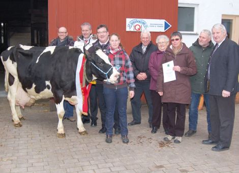 Auf dem Weidenhof in Wächtersbach-Neudorf präsentierten Claudia und Achim Müller kürzlich mit der Kirby-Enkelin Flavia GP 82 ihre erste Kuh mit einer Lebensleistung von über 100 000 kg Milch einer großen Schar an anwesenden Gästen. Als besondere Ehrengäste des Tages waren Staatssekretär Mark Weinmeister und HBV-Vizepräsident Armin Müller anwesend, die diese züchterische Leistung auf dem vielseitig ausgerichteten Weidenhof besonders würdigten. Auf diesem Betrieb werden seit vielen Jahren neben einer leistungsstarken Milchviehherde auch weitere Standbeine wie ein Hofladen mit Direktvermarktung und Biogasanlage betrieben. Dass auch in dieser Kombination beste Milch­leistungen mit guten Fruchtbarkeitsergebnissen möglich sind, wurde den Gästen bei einem Betriebsrundgang sehr gut veranschaulicht. Auch die Rekordkuh Flavia überzeugte als 14-jährige Kuh durch ihr nach wie vor tadelloses Beinwerk und das noch sehr korrekte, drüsige Euter, durch das nach zwölf Abkalbungen jetzt über 100 000 Liter Milch geflossen sind. Das hervorragende Leistungspotenzial und die erstklassige Betreuung der Herde auf dem Weidenhof lassen hier sicher noch weitere Kühe mit sehr hohen Lebensleistungen erwarten. Text/Foto: Jost Grünhaupt, LLH Kassel