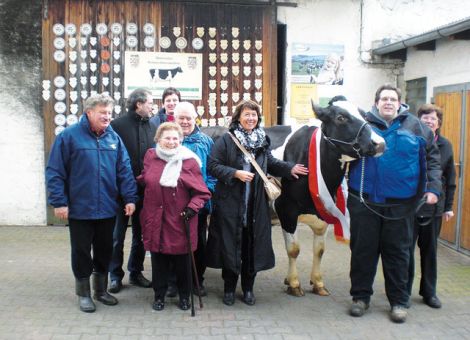 Mit inzwischen 115 000 kg Milch Lebensleistung präsentierte kürzlich die Familie Richter in Erlensee-Rückingen mit der PM Magic-Tochter Ombra VG 89 eine Dauerleistungskuh, die mit einer durchschnittlichen Tagesleistung von 32 kg Milch zu den Spitzentieren dieser Kategorie zählt. Diese Leistungsfähigkeit ist auf beiden Elternseiten abgesichert, denn nicht nur über den heute noch positiven Zuchtwert-gelisteten Vater, sondern auch von Mutterseite her sind hohe Milchleistungen über viele Generationen abgesichert. Bereits bei der Großmutter, einer Tochter des bekannten Vererbers F16, ist eine erstklassige Produktion über neun Laktationen auf hohem Niveau nachgewiesen. Dieses abgesicherte hohe Leistungsvermögen, kombiniert mit einer hervorragenden Versorgung der Kühe, wie auf dem Betrieb Richter gegeben, ist die notwendige Voraussetzung, um herausragende Dauerleistungskühe wie die PM Magic-Tochter Ombra vorstellen zu können. Text/Foto: Jost Grünhaupt, LLH Kassel