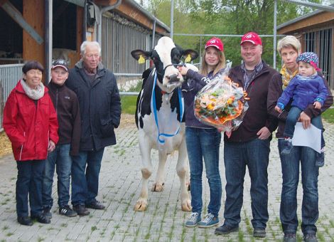 Auf dem Hof von Olaf Fackiner in Dainrode, einem der größten Milcherzeuger Hessens, wurde kürzlich die Aerostar-Tochter Babs nach einer Lebensleistung von deutlich über 100 000 kg Milch einer größeren Schar an Gästen vorgestellt. Die Leistungsdaten der Kuh sind vor allen Dingen durch konstante Produktion auf hohem Niveau gekennzeichnet. In mehr als elf Jahren betrug die durchschnittliche Leistung 9 042 - 3,87 - 3,54. Sie gehört zu den späten Töchtern des sehr erfolgreichen Vaters Aerostar und über der weiteren Väterfolge tauchen mit Whamo und Julius weitere bewährte Bullen auf. Auch auf der weiblichen Seite ist ihre Großmutter Babette zusätzlich mit einer sehr hohen Nutzungsdauer zu verzeichnen. Besonders auffällig war bei der Präsentation das nach wie vor sehr festsitzende Euter, aber auch die klaren Beine mit sehr guten Klauen, die vor allem bei der größeren Zahl an Braunviehzüchtern, die speziell zu diesem Termin angereist waren, einen nachhaltigen Eindruck hinterließen. Auch gab Olaf Fackiner bekannt, dass er sich seiner Fa­milie gegenüber verpflichtet hat, dass Babs ein uneingeschränktes Aufenthaltsrecht auf dem Birkenhof in Dainrode erhält. Ein deutliches Zeichen dafür, dass auch auf Betrieben mit großen Herden Einzeltiere viel Beachtung genießen und sie eine hohe Wertschätzung in der Züchterfamilie haben. Die in den letzten Jahren Zug um Zug geschaffenen, hervorragenden Haltungsbedingungen im Betrieb der Familie Fackiner lassen erwarten, dass weitere Tiere mit sehr hohen Lebensleistungen auf dem Birkenhof in Dainrode auf sich aufmerksam machen. Text/Foto: Jost Grünhaupt, LLH
