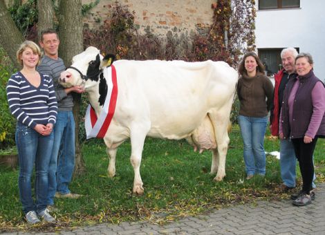 Zu den wenigen Adressen, die inzwischen ein Mutter-Tochter-Paar mit jeweils über 100 000 Liter Lebensleistung nachweisen können, gehört inzwischen der Zuchtbetrieb von Martin Klarmann in Altenstadt. Nachdem vor zwei Jahren die Blackchamp-Tochter Gallone als Dauerleistungskuh vorgestellt werden konnte, hat sich jetzt ihre Sarlet-Tochter Galine VG86 mit einer Lebensleistung von nun annähernd 110 000 kg Milch mit hohen Inhaltsstoffen in der Liste der Rekordkühe etabliert. Sicherlich hat die leistungsfähige, väterliche Großmutter Schneeflocke aus dem Zuchtbetrieb Kaletsch, Rodenhausen, die bei acht Abkalbungen ein Mittel von 13 361 - 3,85 - 3,34 erreichte, mit dazu beigetragen, dass Galine auf diesen Spitzenwert kam. Dass in dieser Kuhfamilie eine hervorragende Vererbungskraft steckt, wurde auch durch Galines bei Hessens Zukunft erfolgreich ausgestellte Canvas-Tochter Gerbel deutlich. Die in den letzten Jahren aus der Herde Klarmann auf der Tierschau in Bad Vilbel vorgestellten Kühe zeigten, dass mit Engagement und Erfolg auf diesem Betrieb züchterisch gearbeitet wird. Damit sind hervorragende Voraussetzungen gegeben, dass auch demnächst ein Spitzentier der Familie Klarmann zu einer Ehrung ansteht.           
Jost Grünhaupt, LLH Kassel, Foto: Achim Lohrey, LLH Wächtersbach