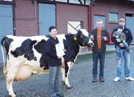 Der Betrieb Klaus Eichler in Hauneck-Unterhaun ist für seine konstant hohe Herdenleistung bekannt. Nun ist es dem Betrieb gelungen, seine erste 100 000-Liter-Kuh hervorzubringen. Die Kuh Kassy hat es kürzlich nach acht Laktationen geschafft, diese magische Grenze zu knacken. Kassy hat im Vergleich zu ihren Stallgefährtinnen und den meisten hessischen Kühen wohl den weitesten Weg in ihrem Leben zurückgelegt. Geboren wurde die Kuh 2002 im Betrieb Käb in Bayern in Unterfranken. 2004 wurde sie als Trägertier an die ET-Station in Nückel verkauft, um schließlich im April 2005 in Alsfeld versteigert zu werden. Somit hat die Kuh Deutschland einmal von Süden nach Norden durchreist, um schließlich in der Mitte Deutschlands ihre Heimat zu finden. Klaus Eichler ersteigerte die Kuh zum Preis von 950 Euro und wenn man die Leistung dieser Kuh sieht, war das damals ein absolutes Schnäppchen. Kassy steht momentan kurz vor der neunten Abkalbung und präsentiert sich noch sehr frisch mit einem guten Fundament. Leider hat sie bis auf eine Ausnahme nur Bullenkälber zur Welt gebracht, so dass jetzt natürlich gehofft wird, dass ihr neuntes Kalb weiblich wird. Die Kuh startete bereits in der ersten Laktation mit über 10 000 kg Milch und erreichte die Höchstleistung von 14 381 kg in der siebten Laktation. Einen großen Anteil an der Leistung hat mit Sicherheit der Betriebsleiter, der neben der Arbeit in der Landwirtschaft und der hofeigenen Metz­gerei ein Faible für seine Kühe hat. Die hessischen Rinder­züch­ter gratulieren zum züchterischen Erfolg. Text/Foto: Christian Dörr, LLH
