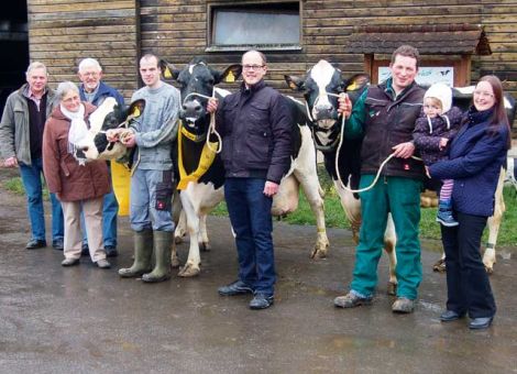 Die Familie Caspar aus Heimertshausen konnte kürzlich zwei Kühe mit einer Lebensleistung von über 100 000 kg Milch vorstellen. Die Webster-Tochter CAS Ilonka GP 84 hat bei zehn Abkalbungen eine mittlere Laktationsleistung von 9 636 - 4,48 - 3,41 und erzielte ihre höchsten Laktationsleistungen, wie häufig zu beobachten, nach dem siebten bis neunten Kalb. Die hervorragende Veranla­gung für hohe Leistungen und das Exterieur hat sie dabei auch im Besonderen von der Mutterlinie mitbekommen, denn die Belt-Tochter Idrolig EX 93 zählte längere Zeit zu den absoluten Spitzentieren der Herde. Aus einem Seitenzweig der stark verbreiteten und sehr leistungs­sicheren Bahama-Linie stammt die Blauer-Tochter CAS Blue, die erst zehn Jahre als ist und bei sieben Abkalbungen eine Durchschnittsleistung von 13 162 - 3,46 - 3,10 nachweisen kann. Entsprechend hoch ist die Durchschnittsleistung pro Futtertag mit 36 Liter, einem absoluten Spitzenwert in dieser Kategorie, der nur sehr selten erreicht wird. Dieses herausragende Leistungspotenzial ist in der mütterlichen Linie verankert, denn auch ihre Mutter Brata GP 84 brachte es bei acht Ab­kalbungen auf einen Durchschnitt von 9 478 - 4,18 - 3,67 und eine Reihe von weiteren Spitzenkühen bis hin zu internationalen Bullenmüttern stammen aus dieser Kuhfamilie. Präsentiert wurde auch die Jocko Besne-Tochter Jelykoe EX 90, die mit einer Lebensleistung von jetzt deutlich über 120 000 kg Milch das „Flaggschiff“ der Deichhofherde ist und als 13-jährige Kuh noch einen Zuchtwert von 131 hat. Die Nachzucht dieser Kuh hat einen herausragen­den Stellenwert nicht nur in der Herde des Betriebs Caspar, auch die in andere Betriebe verkauften Tiere haben Spitzenplätze eingenommen. Der momentane Top-Bulle aus dem Segment der genomischen Vererber der ZBH, der Bulle Big Point, ist ein Urenkel von Jelykoe, damit ist hier die optimale Kombination von hoher Leistungsfähigkeit, züchterisches Spitzenpotenzial am genetischen Markt und Nachhaltigkeit in der Produktion nachgewiesen. Dass auch die hervorragende Betreuung der Herde auf dem Deichhof zum züchterischen Erfolg beiträgt, ist eine besondere Bedeutung für die Vorstellung der drei Dauerleistungskühe auf dem Hof Caspar. Text/Foto: Jost Grünhaupt, LLH Kassel