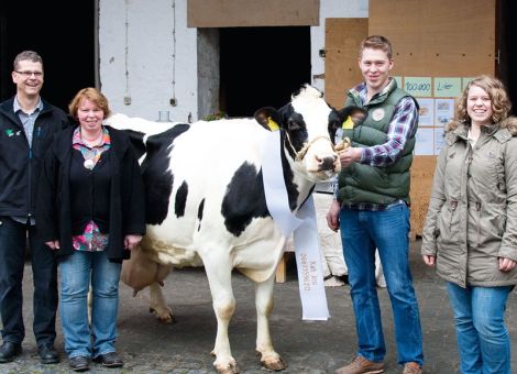 Im Betrieb von Bernhard und Pia Hillerich in Ueberau überschritt vor zwei Jahren die erste Fleckviehkuh die 100 000-Liter-Grenze. Jetzt kam die Holsteinkuh Josi VG 85 von Prelat dazu, welche die Veranlagung zu hohen Lebensleistungen offensichtlich von beiden Elternteilen mitbekommen hat: sowohl ihre Mutter Jasmin als auch ihre väterliche Großmutter Flamin brachten es auf acht sowie sieben Abkalbungen und herausragenden Lebensleistungen. Bei der Vorstellung der Kuh stellte sich heraus, dass die Mehrzahl der Nachzucht heute nicht mehr auf dem Betrieb Hillerich zu finden ist, beide Söhne aus der Anpaarung mit Lee und Rubens wurden an Betriebe in der näheren Gegend verkauft und ein Zuchtbetrieb, ebenfalls in unmittelbarer Nähe von Ueberau, erwarb mehrere direkte Töchter von Josi. Trotzdem sind noch über verschiedene Seitenzweige diverse Nachkommen auf dem Betrieb vorhanden. Die Leistungsentwicklung von Josi ist typisch für viele Kühe mit hohen Lebensleistungen, ohne absolute Höchstleistungen hat sie durch ihre Regelmäßigkeit und kurze Abstände bei den Kalbungen in der elften Laktation die 100 000er Grenze überschritten. Die Frische und Fitness der Kuh ist auch darauf zurückzuführen, dass auf dem Betrieb Hillerich die Betreuung der Kühe einen sehr hohen Stellenwert hat. Dies ist auch bei Projekten, bei denen Pia Hillerich aktiv beteiligt war, bereits zum Ausdruck gebracht worden und über den Besuch von diversen Gruppen sind nicht nur Josi, sondern auch ihre Herdengefähr­tinnen schon mit vielen Leuten in Kontakt gekommen. Gleichzeitig zählt die Familie Hillerich zu den wenigen Betrieben, die 100 000-Liter-Kühe von beiden auf dem Betrieb gezüchteten Rassen vorstellen konnten.
Text: Grünhaupt, LLH Kassel, Foto: Uli Frey, Reinheim
