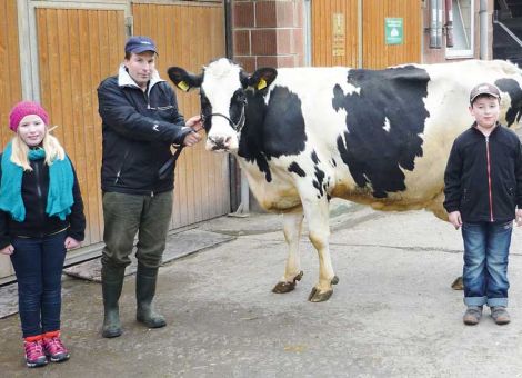 Vor kurzem konnte die Familie Köhler in Neuental-Zimmersrode mit der Kuh Alline die sechste 100 000-Liter-Kuh vorstellen. Die Tochter des Vererbers Don Juan stammte aus einem Zukauf aus dem ostfriesischen Landkreis Leer und erwies sich mit dieser Leistung als absolu­ter Glückskauf. Die 100 000-Liter-Marke wurde nach acht Abkalbungen überschritten. Die Kuh Alline bringt es auf eine Durchschnittsleistung von 10 907 kg Milch - 3,61 Prozent Fett - 3,29 Prozent Eiweiß. Die Höchstleistung wurde in der siebten Laktation mit 12 674 kg Milch - 3,71 Prozent Fett - 3,16 Prozent Eiweiß erreicht. Aktuell befinden sich noch drei melkende Töchter von Alline im Bestand, von denen zwei bereits sechs beziehungsweise fünf Kälber haben, so dass die Langle­bigkeit von der Kuh an ihre Töchter weitergegeben wurde. Alline ist mit 84 Punkten eingestuft und war immer eine unkomplizierte Kuh, sie zeigt sich auch nach acht Abkalbungen noch sehr frisch. Die Familie Köhler zeigt in eindrucksvoller Art und Weise, dass es auch in großen Herden möglich ist, alte Kühe zu halten. Im Betrieb werden immer wieder Maßnahmen durchgeführt, die den Kuhkomfort verbessern. Der neu gebaute Strohstall für die frischmelkenden Kühe hilft mit Sicherheit, die Langlebigkeit in der Herde weiter zu steigern, so dass wir in Zukunft sicher wieder mit 100 000-Liter-Kühen aus diesem Bestand rechnen können. Die hessischen Rinderzüchter gratulieren herzlich zu diesem Erfolg. Text/Foto: Christian Dörr, LLH Alsfeld