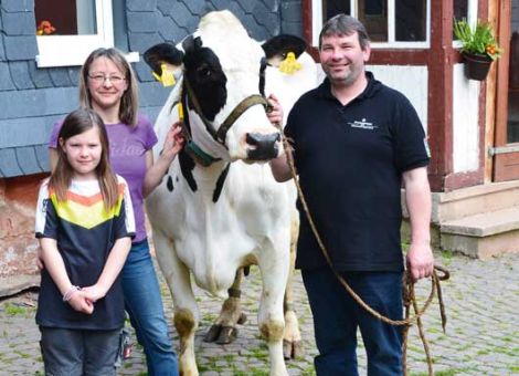 Die kürzlich von Familie Herbst in Münchhausen-Oberasphe vorgestell­te Basar-Tochter Hanna VG 85 zählt zu den Kühen mit 100 000 Litern Lebensleistung, denen man sofort ihr außergewöhnliches Leistungsver­mögen, kombiniert mit beeindruckender Frische, ansieht. Die dreizehnjährige Kuh hat eine Durchschnittsleistung von 10 241 - 3,73 - 3,19 bei zehn Abkalbungen und zeigt nach wie vor sehr viel von der Exterieurqua­li­tät, die durch die Einstufung als Erstkalbskuh zum Ausdruck kommt. Sie ist eine sehr edle Kuh mit ausgeprägter Rippentiefe und einem drüsigen, korrekt aufgehangenen Euter. Die Kuh gehört zu dem Viehbe­stand, den die Familie Herbst von Karl-Heinz Lichtenfels übernommen hat und wenn jetzt die zweite Kuh mit 100 000-Liter-Lebensleistung innerhalb kurzer Zeit vorgestellt werden kann, zeugt das von hervorra­gen­der Betreuung, die der Herde hier zuteil wird. Der eingestreute Boxenlaufstall in Kombination mit sommerlichem Weidegang ist sicher­lich eine hervorragende Haltungsform, die jedoch immer weniger vorzu­fin­den ist. Glücklicherweise hat Hanna eine relativ umfangreiche weibli­che Nachzucht hinterlassen, so dass die Fortführung dieser Linie auch nach dem Umzug der Herde an die neue Wirkungsstätte im Betrieb Geissel, Sterzhausen, gesichert ist. Mit der Präsentation der zweiten 100 000-Liter-Kuh konnte die Familie Herbst eindrucksvoll zeigen, dass sie die Milchviehhaltung absolut beherrscht und die Kühe in dieser Herde bestens betreut werden.Text/Foto: Jost Grünhaupt, LLH Kassel