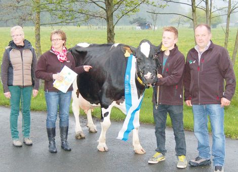 Gegen den Trend der rückläufigen Betriebszahlen und steigenden Herdengrößen in der Milchviehhaltung hat sich die Familie von Hartmut Müller in Reddighausen im oberen Edertal entschieden, aus einem Nebenerwerbsbetrieb, der in Kombination mit einer Schreinerei betrieben wurde, die Viehhaltung aufzustocken und vor über zehn Jahren den Schritt in die Vollerwerbslandwirtschaft vollzogen und einen Boxen­laufstall errichtet. Im Zuge der Aufstockung erwarb Hartmut Müller die Dante-Tochter Clarissa bei Hartmut Ochse in Dörnholzhausen und es stellte sich schnell heraus, dass er ein Spitzentier erworben hatte. Die Kombination der beiden weltweit erfolgreichen Kuhfamilien Dellia und Lauri Sheik mag mit dazu beigetragen haben, sicherlich aber auch die grundsolide Selektion mit besten Vorfahrenleistungen im Zuchtbetrieb, dass Clarissa diese Rekordmarke geknackt hat. Die Durchschnittsleistung bei neun Abkalbungen liegt bei 9.975 - 4,14 - 3,44, ab der dritten Laktation lagen alle Leistungen zwischen 11 000 und 13 000 kg Milch. Die hervorragende Verfassung, in der Clarissa vorgestellt wurde, zeigt deutlich, dass die Betreuung der Herde auf dem Hof von Familie Müller tadellos ist und mit viel Engagement betrieben wird. Auch wenn die weibliche Nachzucht von Clarissa nicht sehr zahlreich vorhanden ist, so sind die Zeichen für die betriebliche Weiterentwicklung eindeutig in Richtung Milchviehhaltung gestellt. Damit sind gute Voraussetzungen gegeben, dass in Zukunft noch öfters Tiere aus dem Betrieb der Familie Müller in Reddighausen, bei den verschiedensten Gelegenheiten, präsentiert werden können.Text/Foto: Jost Grünhaupt, LLH Kassel
