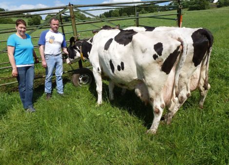 Die Familie Rainer Heid aus Steinau-Neustall kann sich über zwei weite­re 100 000 Liter Kühe in ihrer Milchviehherde freuen. Die Holsteinkühe Ka 50 ist im Jahr 2002 geboren und stammt von dem Natursprungbullen Orit, einem Outside-Sohn, ab. Bei einer durchschnittlichen Milchleistung von 10 874 Milch mit 3,52 Prozent Fett und 3,07 Prozent Eiweiß überschritt die Kuh die hohe Gesamtleistung in der neunten Laktation. Von ihren sechs Töchtern ist noch eine Färse im Betrieb, drei Töchter wurden in den Export verkauft und zwei sind inzwischen wieder abgängig. Die Holsteinkuh He 172 ist ebenfalls im Jahr 2002 geboren. Ihr Vater ist der US-Bulle Futura von Mantel. Sie wurde als Färse von dem Zuchtbetrieb Ludwig Gombert aus Kirchhain-Großseelheim zugekauft. Sie überschritt die hohe Lebensleistung auch in der neunten Laktation mit 10 142 kg Milch pro Laktation bei knapp durchschnittlichen Inhaltstoffen. Von ihr befinden sich noch zwei Töchter von Lord und Marbach in der Herde. Zwei weitere Töchter wurden in den Export verkauft. Beide Kühe sind wieder tragend und erfreuen sich bester Gesundheit wobei Ka 50 besonders agil und temperamentvoll ist. Wie Rainer Heid mitteilte, kommen seine Kühe im Laufstall mit Spalten­boden und Hochboxen sowie dem Weeling-Fütterungssystem sehr gut zurecht. Dies wird auch durch die hohen Gesamtleistungen pro Kuh belegt sowie in der hohen Nutzungsdauer der Kühe dieser Herde deutlich, die im HVL-Bericht ausgewiesen ist. Text/Foto: Wilhelm Vackiner, LLH Alsfeld

