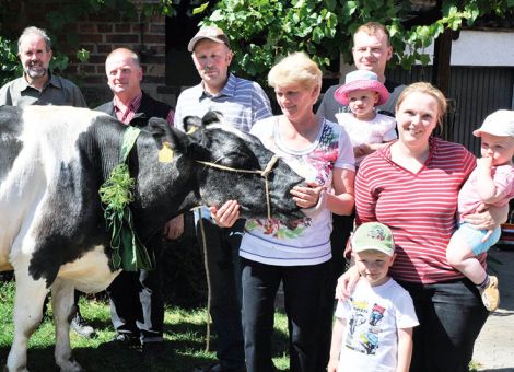 Wilhelm Vackiner vom Landesbetrieb Landwirtschaft Hessen verlieh dem Betrieb der Familie Martin und Christian Engel GbR in Fulda-Haimbach für die 100 000 kg-HF-Schwarzbuntkuh „Edith“ DE06 60462652 als Anerkennung ihrer Leistung in der Rinderzucht eine Auszeichnung. Edith ist bereits 17 Jahre alt, sie hat 14 Kälber geboren und ist wieder tragend. Sie wirkt immer noch sehr frisch für Ihr Alter. Bei im Mittel 7 700 kg Milchleistung pro Jahr, hat sie zwölf Lak­ta­tionen gebraucht, bis sie die 100 000-LiterGrenze erreichte. Was auffällt, sind die hohen Inhaltsstoffe der Milch mit 4,64 Prozent Fett sowie 3,54 Prozent Eiweiß. Die Kuh stammt von „Cleison“ ab. Der Vererber hat bereits mehrere langlebige 100 000-Liter-Kühe hervorgebracht. Leider sind im Moment keine weiblichen Nachkommen im Betrieb, da die Kuh überwiegend männliche Nachkommen hat. Die hervorragende Leistung spricht auch für die gute Pflege und Füt­terung der Tiere im Betrieb Engel in Haimbach. Nicht zuletzt die sommerliche Weidehaltung im Betrieb gibt den Tieren die Vitalität, um diese hohe Lebensleistung zu erreichen. Text/Foto: Martin Engel
