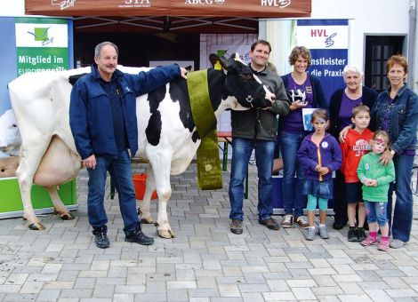 In der Galerie der Kühe mit einer Lebensleistung von über 100 000- Liter-Milch konnte kürzlich die Hölz GbR aus Weinbach bereits ihre fünfte 100 000-Liter-Kuh im Rahmen ihres Hoftages präsentieren. Die Kuh namens Lara wurde in einer eingestreuten Einzelbox mit Schärpe und Hinweisschild gesondert vorgestellt und von den vielen Besuchern aus nah und fern bestaunt. Lara wurde am 7. Juli 2002 geboren, ist eine schwarzbunte HF Kuh mit einer Größe von 151 cm. Ihr Vater ist der italienische Leistungsvererber Skywalker. Sie selbst ist eingestuft zwischen 85 und 86 Punkten. Lara brachte bisher zehn Kälber auf die Welt und ist wieder tragend. Ihre Höchstlaktation war ihre sechste Laktation, in der sie 13 134 kg Milch mit 3,89 Prozent Fett und 3,54 Prozent Eiweiß produziert hat. Diese Werte zeigen deutlich das Leistungsvermögen dieser 100 000-Liter-Kuh. Auch ihre Nachkommen zeigen bereits überdurchschnittliche Leistungsergebnisse. Bei der Präsentation zeigte sich Lara top fit. Die Rinderzüchter gratulieren der Familie Hölz recht herzlich zu diesem Erfolg.
Text/Foto: Heinz Josef Kremper, Rinderzüchtervereinigung Lahn
