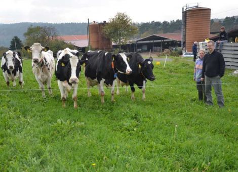 Eine neue Adresse taucht seit kurzem bei den 100 000-Liter-Kühen auf und gleich mit einem Novum: Auf dem Allmenhof in Erbach-Erbuch stellten Gerd Holschuh und Susanne Zwick fünf Kühe vor, welche die 100 000-Liter-Grenze überschritten haben. Die Älteste des Quintetts, die Clown-Tochter Florine GP 84, stammt noch aus der Aufstockungsphase nach dem Stallneubau und hat die hohe Lebensleistung durch ihre konstante Produktion mit auffallend hohen Inhaltsstoffen (4,99 - 3,85) erreicht. Ein vergleichbares Leistungsbild ist bei ihren Vorfahren zu sehen. Ihre jüngeren Herdengefährtinnen Milena, Ulla, Milka und Lotti führen in ihren Pedigrees bekannte Vererber wie Jocko Besne, Lee, Patron und Brock und haben durchweg mittlere Laktationsleistungen zwischen 9 000 und 10 000 kg Milch bei neun oder zehn Abkalbungen nachgewiesen. Bei Lotti taucht sogar mit der EX 92 eingetragenen Vagant-Tochter Naomi aus dem Betrieb Reinbott, Rodenbach, eine der Spitzen­kühe der hessischen Schwarzbuntzucht aus den 90er Jahren auf, die mit einer Lebensleistung von fast 150 000 kg Milch in der Liste steht. Gerd Holschuh und Susanne Zwick betonen, dass diese Kühe genauso behandelt werden, wie die anderen in der Herde und werden in einem auf einer luftigen Anhöhe liegenden Außenklimastall gehalten. Gleichzeitig ist das vitale Dauerleistungsquintett der Beweis, dass der konsequente Einsatz gut selektierter Herdenbullen über Jahre hinweg zu einem solchen züchterischen Erfolg führen kann. Wenn dann gleich fünf auf einen Schlag auf der Weide stehen, ist das für das Züchterehepaar ein besonderer Erfolg, zu dem die Rinderzüchter herzlich gratulieren. Text/Foto: Jost Grünhaupt, LLH Kassel