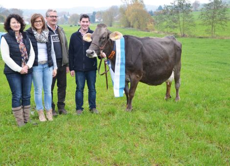 Nachdem in den zurückliegenden Jahren auf mehreren Zuchtbetrieben in Schiffelbach 100 000-Liter-Kühe vorgestellt wurden, kam jetzt mit Heinz Neubauer eine neue Adresse hinzu. Das Besondere an der dort vorgestellten Leonie EX 91 ist, dass sie die erste Braunviehkuh in Hessen ist, die diese Lebensleistungsgrenze überschritten hat. Diese Rasse ist in ihrem Stammzuchtgebiet im Allgäu seit langem dafür bekannt, dass die Kühe häufiger hohe Lebensleistungen erreichen. Dabei passt es besonders gut zur Entwicklung der organisierten Braunviehzucht in Hessen, dass Heinz Neubauer, der maßgeblich und aktiv an der Einführung der Rasse Braunvieh in Hessen beteiligt war, nun auch die erste 100 000-Liter-Kuh vorstellen konnte. Nach sieben Abkal­bungen und einer Durchschnittsleistung von 10 819 - 4,45 - 3,37 präsentierte sich die rüstige Kuh noch in einer beeindruckenden Verfassung und zeigte noch sehr viel Frische. Vor allem das nach wie vor am Sprunggelenk sitzende Euter, ausgestattet mit viel Drüsigkeit und optimaler Strichverteilung, hinterließ einen starken Eindruck. Dabei ist die Hussli-Tochter auch im Allgäu keine Unbekannte, denn neben mehreren erfolgreichen Auftritten in Alsfeld war sie auch die erste Braunviehkuh aus Hessen, die sich auf einer nationalen Schau mit der Konkurrenz aus dem Süden messen konnte. Sicherlich hat neben dem sehr erfolgreichen Vater auch der Mutterstamm zum Erfolg bei­ge­tragen, denn Leonie geht auf eine sehr bewährte Kuhfamilie aus Baden-Württemberg zurück und ein Mojado-Sohn schaffte es sogar ins Zuchtprogramm in dieser Region. Somit ist dieser züchterische Erfolg des Betriebes Heinz Neubauer das Ergebnis einer über Jahre hinweg aktiv umgesetzten züchterischen Arbeit für das Braunvieh in Hessen. Eine beachtliche Zahl an Berufskollegen erschien zur Gratulation auf dem Hof in Schiffelbach. Text/Foto: Jost Grünhaupt, LLH Kassel