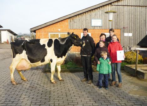 Gleich zu Beginn des neuen Jahres konnte die Familie Hillebrand in Helmarshausen die 100 000-Liter-Kuh Esra vorstellen. Im Betrieb Hillebrand ist es die zweite Kuh, die jetzt die magische Grenze überschritten hat. Die Kuh ist eine Esar-Tochter und geht mütterlicherseits auf den E-Kuhstamm des Zuchtbetriebes Andreas Gülker in Haldern zurück. Auch in diesem Stamm gab es bereits mehrere 100 000-Liter-Kühe. Die Großmutter von Esra, die Kuh GHG Esther, wurde seinerzeit von den beiden Jungzüchtern Henning Hillebrand und Thomas Hocke vom Betrieb Gülker gekauft. Die Mutter von Esra war die Aaron-Tochter Esprit, diese Kuh wurde gespült und hatte neben den vier eigenen Kälbern noch vier Kälber aus Embryo­trans­fer. Esra hat elf Kälber aus zehn Abkalbungen, denn die vierte Abkalbung waren Zwillinge. Von den elf Kälbern waren leider nur vier weiblich, allerdings hat die jüngste Tochter vor kurzem abgekalbt und zeigt sich mit einem guten Exterieur. Esra selbst wurde nach dem vierten Kalb mit 86-85-81-84/84 eingestuft und zeigt noch heute einen guten Milchtyp und ein gut melkbares Euter. Schaut man sich die Leistungsdaten der Kuh an, dann fällt auf, dass sie in der ersten Laktation mit 5 700 Litern eher knapp startete. Doch Henning Hillebrand hatte Vertrauen in den Kuhstamm und so wurde Esra wie­der besamt und steigerte sich in der zweiten Laktation auf 8 700 Liter. Ab der dritten Laktation startete die Kuh richtig durch bis zur Höchstleistung von 11 588 Liter in der vierten Laktation. An diesem Beispiel zeigt sich, dass man auch Kühen, die in der ersten Laktation verhalten starten, durchaus eine zweite Chance geben kann. Einen großen Beitrag zu den hohen Lebensleistungen im Betrieb Hillebrand hat die sehr gute Betreuung der Kühe durch die ganze Familie Hillebrand beigetragen. Denn neben Henning Hillebrand und seiner Frau helfen alle vier Kinder tatkräftig im Betrieb mit und sind durch ihre erfolgreiche Teilnahme an Jungzüchterwettbewerben im Kreis Kassel bestens bekannt. Es bleibt also abzuwarten, wann die erste 100 000-Liter-Kuh vorgestellt werden kann, die von den Kindern bei Jungzüchterwettbewerben vorgeführt wurde. Die hessi­schen Rinderzüchter gratulieren der Familie herzlich zu diesem züchterischen Erfolg.  Text/Foto: Christian Dörr, LLH Alsfeld