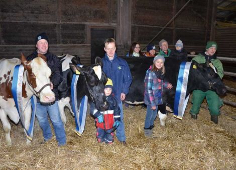Schon lange gehören die Holsteinzuchtbetriebe der Familien Christian Schultze, Torsten Schnatz und Hartmut Kalhöfer in Lichtenfels-Rha­­dern zu den sehr Erfolgreichen, wozu auch die Vorstellung von mehreren Kühen mit einer Lebensleistung von über 100 000 Liter Milch zählt. Der Scherwettbewerb, den die Jungzüchter aus Waldeck-Frankenberg und Marburg-Bie­denkopf dieses Jahr auf dem Betrieb von Christian Schultze ausrichteten, war eine gute Gelegenheit, das aktuelle Trio an Kühen mit dieser gewaltigen Lebensleistung vorzustellen. Die Jurmel-Tochter Fiesta aus dem Be­trieb Schultze brachte es bei acht Abkalbungen auf eine Durchschnittsleistung von 10 912 - 4,35 - 3,40 und hat das Leistungspotenzial von ihrer Mutter Fiene geerbt, die bei neun Abkalbungen auch als 100 000- Liter-Kuh gelistet ist. Ähnliche Voraussetzungen hat die rotbunte Goodtime-Tochter Resi GP83 von Torsten Schnatz von ihrer Mutter mitbekommen, die auch bei acht Abkalbungen bei einer mittleren Leistung von über 11 000 kg Milch eine herausragende Leistungskuh war. Konstant hat Resi bei neun Abkalbungen und einer Durchschnittsleistung von 11 466 - 3,79 - 3,40 die Leistung erbracht und liegt heute noch in der Zwischenkalbezeit unter 400 Tagen. Über mehrere Töchter ist die Genetik der Kuh weiterhin im Betrieb vertreten. 
Als Dritte im Bunde wurde die Talent-Tochter Esther VG88 von Hartmut Kalhöfer vorgestellt, die mit einer Durchschnittsleistung bei sieben Laktationen von 12 556 - 3,88 - 3,33 zu den 100 000-Liter-Kühen zählt, die eine durchschnittliche Tagesleistung von über 35 kg Milch nachgewiesen haben. Alle drei Kühe zeigten sich im Alter von zehn bis elf Jahren nach wie vor mit sehr funktionellem Körperbau, vor allen Dingen bei Fundament und Euter hinterließen sie einen nachhaltigen Eindruck. Damit haben die drei Betriebe Schultze, Schnatz und Kalhöfer gezeigt, dass es unabhängig von der Herdengröße sehr wohl möglich ist, über Jahre hinweg immer wieder Kühe mit einer Lebensleistung von mehr als 100 000 kg Milch vorstellen zu können. Die aktuelle Gesamtzahl der drei Adressen liegt bei 18 Kühen mit dieser Leistung, dabei sind die zur Zucht verkauften Tiere nicht eingerechnet. Die optimale Betreuung der Kühe und das erstklassige Herdenma­na­gement haben zu den hohen Leis­tun­gen beigetragen, so dass die Adressen Schultze, Schnatz und Kalhöfer in den zurückliegenden Jahren in verschiedenen Bereichen sehr erfolgreich waren. Das Trio war gleichzeitig ein Ansporn für die zahlreichen Jungzüchter, künftig auf den eigenen Betrieben ähnliche Erfolge vorstellen zu können. Text/Foto: Jost Grünhaupt, LLH Kassel
