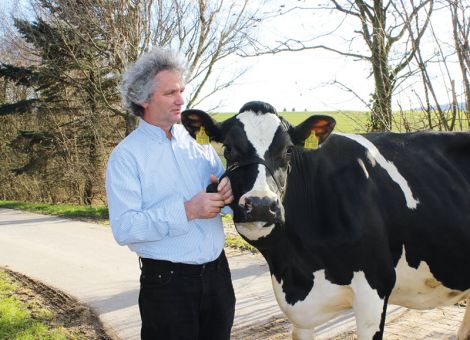 Zu den hessischen Milchviehherden mit hohen Leistungen gehört der Betrieb Friedrich Hedtrich in Schlitz. Es verwundert nicht, wenn im Betrieb regelmäßig 100 000-Liter-Kühe anfallen. Mit der Lentini-Tochter Gardenia hat nun kürzlich eine weitere Kuh des Betriebes diese hohe Leistungshürde überschritten. Die relativ unauffällige Kuh hat bis auf einen kleinen Durchhänger zwischen der fünften und sechsten Kalbung im Mittel 9 353 kg Milch mit 3,74 Prozent Fett und 3,42 Prozent Eiweiß gegeben. Die bisherige Höchstleistung lag bei 10 090 kg Milch mit 3,78 Prozent Fett und 3,61 Prozent Eiweiß. Da Gardenia meist Bullenkälber geboren hat und der Betrieb einen großen Teil abgekalbter Färsen ab Stall und Rinder in den Export vermarktet, sind keine weiblichen Nachkommen von ihr vorhanden. Die gute Herdenbetreuung ist mit ausschlaggebend für die hohe Zahl an Dauerleistungskühen. Wilhelm Vackiner, LLH Alsfeld