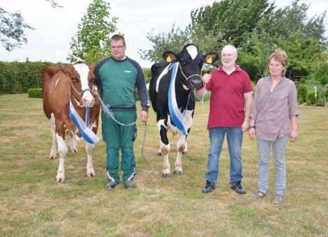 In den zurückliegenden Jahren wurden mehrfach Kühe mit einer Le­bensleistung von über 100 000 Liter Milch des Betriebs von Hubert Müller in Eberstadt vorgestellt. Mit der Faber-Tochter Clementine und der Lentini-Tochter Thalia GP82 wurde die Liste der Kühe mit herausragenden Lebensleistungen jetzt um zwei weitere Kandidatin­nen ergänzt. Mit ihren Durchschnittsleistungen von 9 613 - 4,34 - 3,36 bei Clementine und 9 126 - 3,31 - 3,01 bei Thalia liegen die Kühe im gut durchschnittlichen Segment der Herde und haben sich vor allem über ihre Dauerhaftigkeit in der Produktion bewährt, ohne dass absolute Höchstleistungen erbracht wurden. Die von beiden Kühen vorhandene Nachzucht stammt aus dem KB-Angebot der Zucht- und Besamungsunion Hessen, seit einiger Zeit nutzt Hubert Müller das Anpaarungsprogramm BAP und wird von Patrick Lauber betreut. Auch wenn in Eberstadt keine Möglichkeiten zur Weidehaltung bestehen, hat die Stallerweiterung mit eingestreuten Liegebuchten dazu beigetragen, dass auch die älteren, leistungsstarken Kühe, op­timal untergebracht sind und ihre Leistungsbereitschaft voll zum Ausdruck kommt. Damit sind insgesamt hervorragende Bedingungen auf dem Betrieb von Familie Müller in Eberstadt gegeben, um auch in Zukunft leistungsstarke und langlebige Kühe vorstellen zu können. Dabei weist Hubert Müller darauf hin, dass das alles nur möglich ist, wenn die Aufstallungsvoraussetzungen passen und man im Umgang mit den Tieren ihren Ansprüchen gerecht wird. Die in der Öffentlichkeit mitunter verzerrte Darstellung der landwirtschaftlichen Tierhaltung ist ihm dabei in der letzten Zeit wiederholt ein Ärgernis gewesen. Text/Foto: Jost Grünhaupt, LLH Kassel