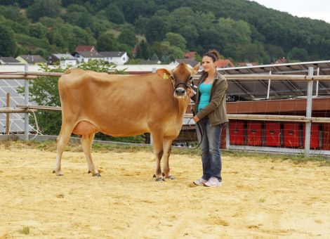 Anne Diehl mit der Jersey-Kuh Wasabi-fip, eine der wenigen Jerseys im Bestand von Andreas und Johannes Diehl