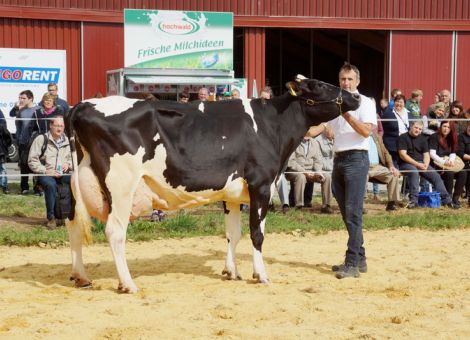 Thomas Schneider aus Martinshöhe präsentierte eine Goldday-Tochter