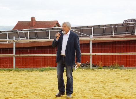 Wilhelm Remmers kommentierte die Kühe