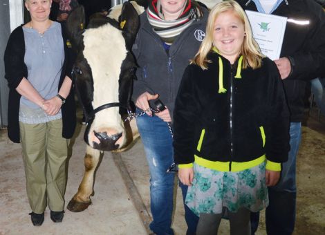 Die Einweihungsfeier für den neuen Kuhstall war der optimale Rahmen für Markus Bornemann und seine Familie aus Adorf, um die Manat-Tochter Geli GP 82 als inzwischen siebte Kuh des Betrie­bs mit einer Lebensleistung von über 100 000 kg Milch vorzustellen. Die Kuh zeigt das häufig anzutreffende Leistungsbild mit einer Erstlaktation von 8 500 kg und hat bei zehn Abkalbungen eine durchschnittliche Laktationsleistung von 10 458 - 3,93 - 3,36 erreicht. Zwei Tierschau-Auftritte hat sie ebenfalls zu verzeichnen, denn Stefanie Bornemann führte Geli als Kalb beim Kälbervorführwettbewerb anlässlich der Tierschau in Adorf vor und zwölf Jahre später war sie auf der Kreistierschau in Frankenberg und gehörte zu dem Sextett an 100.000 Liter-Kühen, das dort mit Unterstützung der ALL-Gruppe vorgestellt wurde. „Die Kuh ist nach wie vor in einer hervorragenden Verfassung“, so Markus Bornemann, „Sonderbehandlungen für ältere Kühe sind nicht möglich, dafür ist die Herde zu stark angewachsen.“ Aber auch hier ist es so, dass der für die frisch abgekalbten Kühe geschaffene Strohbereich mit dazu beiträgt, dass leistungsbereite, ältere Kühe fit bleiben. Das Engagement der gesamten Familie über die Generationen hinweg und die mit der Stallerweiterung geschaffenen Möglichkeiten für die Betreuung der Hochleistungsgruppe lassen erwarten, dass künftig weitere Kühe von der Bornemann Milch GbR die 100 000-Liter-Grenze erreichen. Text/Foto: Jost Grünhaupt, LLH Kassel