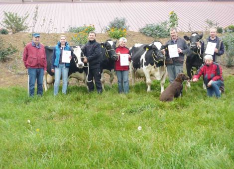 Ein Betrieb, der in der Liste der 100 000-Liter-Kühe häufiger auftaucht, ist der von Familie Knaust aus Gudensberg. In diesem Jahr konnten sogar vier 100 000-Liter-Kühe präsentiert werden. Das Quartett zeigte sich am Ehrentag erstaunlich frisch und so können die drei Genera­ti­onen der Familie Knaust mit Recht stolz auf diese Leistung sein. Wesentlichen Anteil an der Leistung hat wohl die Stallerweiterung, bei der auf den Kuhkomfort viel Wert gelegt wurde. Der Betrieb zeigt, dass auch in größeren Beständen hohe Lebensleistungen realisierbar sind, wenn das Management stimmt und alle Generationen an einem Strang ziehen. Die mit 83 Punkten eingestufte Bormio-Tochter Oregon ist mit ihren mittlerweile 13 Jahren die älteste der vier Damen und die letzte Kuh im Stall, die noch im alten Boxenlaufstall gemolken wurde. Auffällig sind hier die konstant hohen Milchinhaltsstoffe. Oregon brachte neun Kälber zur Welt und hat eine Durchschnittsleistung von 9 976 kg Milch mit 4,77 Prozent Fett und 3,47 Prozent Eiweiß. Die Höchstleistung wurde in der fünften Laktation mit 12 716 kg Milch mit 4,84 Prozent Fett und 3,34 Prozent Eiweiß erbracht. Leider ist von ihr nur noch eine Tochter im Bestand. Die nächste jüngere Lady ist die knapp 13 Jahre alte Kuh Antonia VG 85, eine Tochter des Vererbers Labryinth. Antonia hat ihre Leistung in acht Laktationen erbracht und ist jetzt mit dem neunten Kalb trächtig. Die Durchschnittsleistung liegt bei beachtlichen 12 245 kg Milch mit 3,67 Prozent Fett und 3,02 Prozent Eiweiß. Die Höchstleistung wurde nach der zweiten Abkalbung mit 14 393 kg Milch mit 3,54 Prozent Fett und 2,97 Prozent Eiweiß erbracht. Als nächstes folgt die Kuh Omira VG 85, eine Tochter des hessischen Verebers Landauer. Omira ist schon elf Jahre alt und hat acht Kälber zur Welt gebracht. Momentan steht die Kuh trocken und somit ist mit einer weiteren Steigerung der Lebensleistung zu rechnen. Mit einer 305-Tage-Leistung von 14 945 kg Milch in der dritten Laktation liegt Omira an der Spitze des Quartetts. Auf der Kreistierschau des Schwalm-Eder-Kreises in Fritzlar konnte Omira in den Jahren 2011 und 2012 den Reservesieg der älteren Kuhklassen für sich verbuchen. Omiras Gene konnten sich auch über einen Sohn in der Herde verbrei­ten, denn der Bolton-Sohn Boris wurde als Deckbulle für den eigenen Rinderbestand genutzt. Als jüngste Kuh komplettiert die Darling-Tochter Halma VG 86 mit zehn Jahren das Quartett. Halma erbrachte ihre Höchstleistung von 12 252 kg Milch mit 4,00 Prozent Fett und 3,21 Prozent Eiweiß in der fünften Laktation und produzierte all die Jahre auf gleichmäßig hohem Niveau. Auch Halma ist wieder trächtig und so ist auch hier mit einer weiteren Steigerung der Lebensleistung zu rechnen. Die hessischen Rinderzüchter gratulieren der Familie Knaust herzlich zum Erfolg. Text/Foto: Christian Dörr, LLH Alsfeld