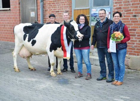 Mit einer Aaron-Tochter, die unter der Stall-Nr. 216 geführt wird, präsentierte die Familie Stefan Reinhard in Elters die zweite Kuh mit einer Lebensleistung von über 100 000 kg Milch. Jahrelang lag die Kuh mit Durchschnittsleistungen von 9 500 kg Milch im Mittelfeld der Herde und auch bei zehn Abkalbungen ist das Mittel in gleicher Größenordnung. Die höchste Laktationsleistung erreichte die Kuh erst in der neunten Laktation mit 10 789 - 3,86 - 3,59. Besonders auffällig war bei der Präsentation der Kuh die auffallende Frische und das erstklassige Erscheinungsbild, die sich mit sehr viel Festigkeit, besten Übergängen im Körperbau und einem nach wie vor ideal sitzenden Euter nach der zehnten Abkalbung zeigte. Zwei Töchter befinden sich in der Herde und zwei ältere wurden zum heutigen Leidwesen von Stefan Reinhard in den Export verkauft. „Wenn ich damals gewusst hätte, dass sich die Kuh so gut in unsere Herde bewährt, hätte ich das bestimmt nicht gemacht“, fasst der Betriebsleiter seine Erfahrung zusammen. Dabei hat die Dauerleistungskuh wie viele andere auch ihr ganzes Leben lang keine Sonderbehandlungen genossen und ist dadurch dem bei der Vorstellung anwesenden Tierarzt weitestgehend unbekannt geblieben. Jetzt ruhen die Hoffnungen auf ihren Töchtern, die von den KB-Bullen Clerico und Falster abstammen und hervorragende Voraussetzungen für hohe Lebensleistungen mitbringen.
Text/Foto: Jost Grünhaupt, LLH Kassel