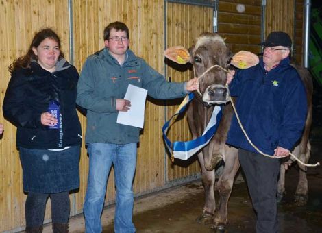 Die aktive Braunviehzucht-Adresse von Friedrich-Wilhelm und Friedrich Brocke aus Sudeck konnte kürzlich einen weiteren beson­deren züchterischen Erfolg präsentieren. Zu Beginn der achten Laktation überschritt die Poldi-Tochter Rosaly 90/88/90 die 100 000- Liter-Grenze und wurde dabei in bester Manier vorgestellt. Das enorme Leistungspotenzial der Kuh mit einem Durchschnitt von 12 371 - 4,28 - 3,76 ist in der gesamten Mutterlinie zu finden, denn bereits ihre Mutter, die Hussli-Tochter Rose, war eine enorm leistungsbereite Kuh, die mit ihrer Jahresleistung von 21 119 - 4,47 - 3,88 nach wie vor die Spitzenposition in Hessen hält. An der Ba­sis dieser Spitzenkühe steht eine sehr erfolgreiche Kuhfamilie aus dem Allgäuer Braunviehzuchtbetrieb Schütz in Altusried. Aufgrund ihrer enormen Leistungsfähigkeit wurden Rosaly und ihre Mutter mehrfach als Bullenmütter in den Zuchtprogrammen der Allgäuer Braunviehzucht genutzt und drei Halbbrüder von Rosaly gehörten in der Gesamtvererbung zu den besten Bullen ihrer Jahrgänge. Auch in dem neuen Boxenlaufstall in Sudeck ist die Kuhfamilie erwartungsgemäß stark vertreten, so dass für die nächsten Generationen in der Herde eine sehr gute Basis vorhanden ist. „Als ich die Stammkuh Rose im Allgäu erworben habe, hat der Züchter sicher nicht damit gerechnet, dass ein Landwirt aus dem fernen Waldeck bereit sein würde, in Allgäuer Spitzengenetik zu investieren“, erinnert sich Fritz Brocke. „Dass sich daraus bei uns eine solche herausragende Linie entwickeln würde, habe ich sicherlich nicht erwartet, aber es freut mich natürlich umso mehr“, fasst er zusammen. Die beachtliche Zahl an Bullen, die aus dieser Linie in das Allgäu wieder zurückgegangen ist, zeigt auch das Vertrauen, das die Verantwortlichen im Kerngebiet der Rasse in diese Genetik haben.Text/Foto: Jost Grünhaupt, LLH Kassel