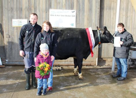 Die Holsteinkuh Dolly des Milchviehbetriebes Kai-Uwe Becker aus Romrod hat kürzlich als erste Kuh der Herde die  hohe Gesamtlebens­leistung von 100 000 Liter Milch überschritten. Aus diesem Anlass fand jetzt eine kleine Feierstunde mit Nachbarn und Berufskollegen statt. Rinderzuchtberater Wilhelm Vackiner vom Landesbetrieb Landwirtschaft Hessen unterstrich die Bedeutung langlebiger Kühe für die Wirtschaftlichkeit der Milchproduktion. Er würdigte hierbei auch die guten Haltungs- und Fütterungsbedingungen im Betrieb Becker die nötig sind um hohe Lebensleistungen der Kühe zu erreichen. Die Milchkuh ist im Jahr 2003 geboren und stammt von dem bekannten Vererber Dolch ab. Sie kann auf eine durchschnittliche Milchleistung von 9 717 kg Milch mit 3,93 Prozent Fett und 3,11 Prozent Eiweiß verweisen und hat bisher achtmal gekalbt, davon einmal mit männlichen Zwillingen. Von den vier weiblichen Nachkommen wird noch eine Tochter in der Herde gemolken, eine weitere im Jungviehbereich aufgezogen. Dolly ist eine problemlose, unauffällige Kuh im mittleren Rahmen die noch sehr vital ist. Die Glückwünsche der Berufskollegen aus dem Vogelsbergkreis überbrachte der Vorsitzende der Holsteinzüchter im Landkreis, Dirk Steuernagel aus Eudorf. Text/Foto: Wilhelm Vackiner, LLH Alsfeld