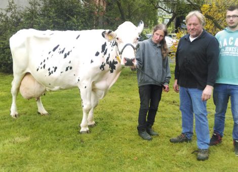 Sehr vital präsentierte die Heinrich Brandau und Mechthild Gonnermann GbR aus Lindenau ihre Leroy-Tochter mit der Stall-Nr. 30, die in der Herde nicht nur durch ihre helle Zeichnung, sondern auch durch das nach wie vor hervorragende Exterieur im Seitenbild auffällt und eine Tagesleistung von über 30 kg Milch in ihrem gesamten produktiven Leben erbracht hat. Dass auch in einer 80-köpfigen Milchviehherde der persönliche Bezug zu den Tieren gegeben ist, lässt sich daran ablesen, dass die Kuh auf Zuruf von Mechthild Gonnermann im Melkstand erscheint. Die herausragende Leistungsfähigkeit von Rapunzel, wie sie diese Kuh liebevoll nennt, unterstreicht dabei das Potenzial der gesamten Herde des Betriebes, der letztes Jahr die höchste durchschnittliche Herdenleistung im Werra-Meißner-Kreises erreicht hat. Text/Foto: Jost Grünhaupt, LLH Kassel