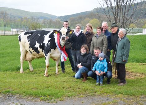 Seit vielen Jahren zählt die Holstein-Herde von Michael und Daniel Raude in Altendorf zu den Adressen, die durch konstant hohe Leistungsfähigkeit der gesamten Herde auffallen. Ein maßgeblicher Grund dafür ist sicher, dass die Familie Raude ein sehr exaktes Herdenmanagement umsetzt, was sich schnell bei einem Blick in die einzelnen Gruppen erkennen lässt. Dazu zählt nicht nur die optimale Versorgung der Kühe, die seit einiger Zeit über eine automatisierte Fütterung sehr erfolgreich umgesetzt wird, sondern auch die züchterische Selektion hat maßgeblich dazu beigetragen. So stammten vielfach erstklassige Töchter von Nachzuchtgruppen bei verschiedenen Anlässen aus dem Betrieb Raude. Als weitere herausragende züchterische Leistung ist die Vorstellung der Cocherill-Tochter Lena VG 85 nach Überschreiten der 100 000-Liter-Grenze hervorzuheben. Diese schauerfahrene Kuh zeigt auch elfjährig mit einer Durchschnittsleistung von 11 593 - 3,82 - 3,03 noch ein hervorragendes Exterieur, was über mehrere Töchter in der Herde und einen gekörten Sohn an die nächsten Generationen weitergegeben wird. Dass hohe Leistung und optimale Fruchtbarkeit durchaus miteinander vereinbar sind, zeigt auch Lena, die vom ersten bis zum achten Kalb annähernd im Jahresrhythmus ihre Kälber auf die Welt gebracht hat und jetzt die achte Kuh der Herde mit über 100 000 kg Milch ist. Diese sehr gute Basis und das Engagement der gesamten Familie Raude lassen auch künftig weitere Kühe mit hohen Lebensleistungen erwarten. Text/Foto: Jost Grünhaupt, LLH Kassel