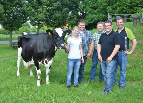 Bei der Vorstellung ihrer 100 000-Liter-Kuh Nr. 671 stellte die Familie Schäfer in Gilserberg-Sebbeterode einhellig fest: „Wir sind stolz darauf, auch eine Kuh mit dieser Lebensleistung vorstellen zu können. Gleichzeitig wissen wir, wie weit der Weg ist, bis man dieses Ziel erreicht hat.“ Ohne auffällige Höchstleistungen hat die Crew-Tochter bei zehn Abkalbungen eine mittlere Leistung von 9 591-4,74-3,41 nachgewiesen. In den weiteren Vorfahren-Generationen findet man bekannte Vererber wie Starleader und Esquimau, so dass das milchtypische Bild der Kuh, verbunden mit einem lebendigen, gut beaderten Euter, ein Produkt dieser erfolgreichen Kombination ist. „Wir haben die Kuh im Zuge der Aufstockung gekauft“, erinnert sich Hartmut Schäfer. „Auch hätte ich sicher nicht erwartet, dass sie einmal die erste Kuh auf unserem Betrieb ist, die über die 100 000-Liter-Lebensleistung geht.“ Mit der optimalen Versorgung der Herde und den Möglichkeiten für die Unterbringung der Kühe in den einzelnen Laktationsabschnitten (special needs) hat die Familie Schäfer die Voraussetzung geschaffen, dass auch in Zukunft die Lebensleistung der Herde weiter gesteigert wird und eine weitere Kandidatin nach Überschreiten der 100 000-Liter-Grenze vorgestellt werden kann. Text/Foto: Jost Grünhaupt, LLH Kassel