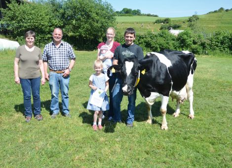 „Jetzt haben wir es auch geschafft, eine Kuh mit einer Lebensleistung von über 100 000 Liter Milch vorstellen zu können“, freut sich die Familie Stracke vom Sonnenhof in Goddelsheim. Dabei ist die Barro-Tochter Claerchen GP 81 die letzte Kuh der Herde, die noch im Anbinde­stall gemolken wurde. Auffallend bei dieser Kuh, die bei zehn Laktationen eine Leistung von 8 906 - 4,75 - 3,62 erreicht hat, sind die hohen Inhaltsstoffe, eher ungewöhnlich für Kühe mit hohen Lebensleistungen. Das hohe Niveau hat sie von ihren weiblichen Vorfahren geerbt, auch ihre Mutter und Großmutter hatten auffallend hohe Werte für Fett- und Eiweißgehalt. Besonders auffällig sind die hervorragenden Klauen der 15-jährigen Kuh. Man könnte den Eindruck haben, sie wären vor kurzem erst geschnitten worden, doch das war beim Herdentermin im letzten Winter, wie Manfred Stracke mitteilte. Auch auf dem Sonnenhof in Goddelsheim hat die Erweiterung des Boxenlaufstalles mit entsprechenden Bereichen für trockenstehende Kühe und die Frischabkalber deutlich positive Effekte für das Management gebracht. „Wir sind jetzt soweit, dass wir auch Zuchtvieh verkaufen könnten, doch bei der gegenwärtigen Marktlage ist das ziemlich schwierig“, fasst Thomas Stracke die aktuelle Situation zusammen. Aber auch das wird sich hoffentlich bald wieder ändern.Text/Foto: Grünhaupt, LLH Kassel
