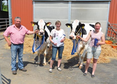 Der sehr kleine Kreis der hessischen Zuchtbetriebe, die Zug um Zug zehn Kühe mit einer Lebensleistung von über 100 000 Liter Milch vorstellen konnten, ist jetzt um die Adresse der Familie Bürger-Grebe aus Korbach-Helmscheid erweitert worden. Die elfjähri­ge Spy-Tochter BG Janin GP 83 hat es bei acht Abkalbungen auf einen Durchschnitt von 11 976 - 3,44 - 3,21 gebracht und zeichnete sich bei der Vorstellung durch konstant sehr gute Fruchtbarkeitsdaten aus, so Christina Grebe. „Sicherlich hat ihr etwas eigener Charakter mit dazu beigetragen, dass sie sich so lange in unserer Herde durchsetzen konnte“, resümiert die aktive Jungzüchterin. Die lange Produktionszeit von BG Janin, von der vier Töchter in der Herde zu finden sind, wird sich hoffentlich auch in den nächsten Generationen in dieser Linie wiederfinden.
Ähnlich konstant sind die Leistungsdaten der Rick-Tochter BG Pinie GP 84, die bei neun Abkalbungen einen Durchschnitt von 10 820 - 3,31 - 3,24 geschafft hat. Maßgeblich zum Erreichen der hohen Lebensleistung hat bei ihr, so Reinhard Bürger-Grebe, ihre Vitalität beim Überstehen von Blessuren mit dazu beigetragen. Eine nennenswerte Anzahl an Besuchern konnte bei der Vorstellung anlässlich des „Tages der Milch“ den Stall besichtigen. Hier ließ sich nachvollziehen, dass beim Neubau vor neun Jahren die geschaffenen Möglichkeiten zur Unterbringung von frischmelkenden Kühen oder einer separaten Krankenabteilung sicherlich einen Anteil geleistet haben. Somit konnten in den letzten Jahren auf diesem Hof kontinuierlich Kühe mit einer Lebensleistung von über 100 000 Liter Milch vorgestellt werden. Gleichzeitig ist die Adresse Bürger-Grebe in Helmscheid ein gutes Beispiel dafür, dass auch in größeren Herden bei dem entsprechenden Management sehr wohl hohe Lebensleistungen möglich sind.Text/Foto: Jost Grünhaupt, LLH Kassel