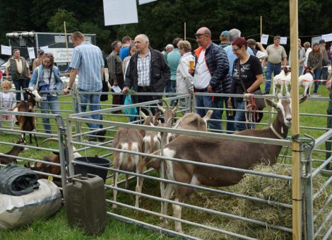 Hofgut Neumühle zeigte moderne Landwirtschaft