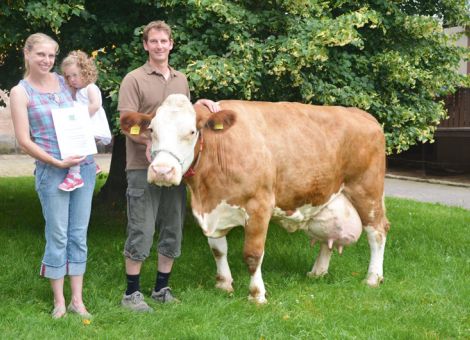 Im Unterschied zu vielen anderen Betrieben, die inzwischen komplett auf Milchviehhaltung spezialisiert sind, favorisiert Jens Hoffarth aus Michelstadt-Rehbach im Odenwald weiterhin eine gemischte Struktur für seinen Betrieb. Wobei die Fleckviehherde den Schwerpunkt bildet. Bei konstant guten Herdenleistungen in den zurückliegenden Jahren ist es jetzt zum zweiten Mal gelungen, eine Kuh mit einer Lebensleistung von über 100 000 Liter Milch zu präsentieren. Bei elf Abkalbungen liegt die Durchschnittsleistung der Postner-Enkelin Lotina bei 7 820 - 4,34 - 3,49 und auffallende Höchstleistun­gen hat es im gesamten Lebenslauf der Kuh nie gegeben. „Solche Kühe, die konstant gute Leistungen bringen, aber nicht unbedingt in der absoluten Spitze gehen, passen für unseren Betrieb am besten“, fasst Jens Hoffarth seine Einschätzung zusammen. Wenn man die Erscheinung der 16-jährigen Kuh sieht, wird seine Auffassung dadurch noch unterstrichen. Damit gehört der Familienbetrieb Hoffarth in Rehbach zu den wenigen Zuchtstätten in Hessen, die inzwischen zwei Fleckviehkühe mit einer Lebensleistung von über 100 000 Liter Milch vorweisen können. Text/Foto: Jost Grünhaupt, LLH Kassel