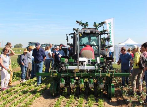 Der Robocrop Inrow aus England jätet um die Pflanzen rum.