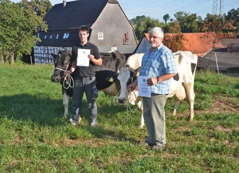 Der Hof Papiermühle der Familie von Elmar und Martin Möcklinghoff am Stadtrand von Hofgeismar verfügt seit vielen Jahren über mehrere Standbeine. Maßgeblich ist dabei die Milchviehherde zu erwähnen, die in einem Folienstall untergebracht ist und über AMS gemolken wird. Die hervorragenden Haltungsbedingungen kamen beim Hoftag im vergangenen Sommer sehr gut zum Ausdruck, schließlich vermarktet der Betrieb auch einen gewissen Anteil der Milch im direkten Absatz. Zu diesem Gesamtkonzept gehören auch die aktuell präsentierten Kühe mit über 100 000-Liter-Lebensleistung: Die Maik-Tochter Fanny 8/VG87 und die Level-Tochter Rasan­na GP82. Auffällig ist bei beiden Kühen, dass sie verhalten in die Milchproduktion eingestiegen sind (erste Laktation um 6 000 kg) und ihre höchsten Leistungen nach dem sechsten sowie siebten Kalb erbracht haben. Beide Kühe sind nach wie vor ausgesprochen vital und durchsetzungsfähig, eine wichtige Eigenschaft für Kühe mit hohen Lebensleistungen. Jetzt hoffen Elmar und Martin Möcklinghoff, dass die vorhandene weibliche Nachzucht beider Kühe ähnlich lange in der Herde bleiben wird und zur Versorgung ihrer Milchkunden beiträgt. Text/Foto:  Jost Grünhaupt, LLH Kassel