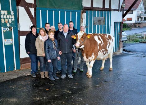 Im Betrieb der Familie Friedhelm Hecker in Willershausen wurde kürzlich mit der Jerom-Tochter Montana VG88 die zweite Kuh mit über 100 000-Liter-Lebensleistung vorgestellt. Nach elf Abkalbungen und einer Durchschnittsleistung von 9 702 - 4,18 - 3,18 zeigt sie sich noch sehr frisch und überzeugt in allen wesentlichen Merkmalen des Körperbaus und Skeletts. Die zweite 100 000-Liter-Kuh dieses Betriebes ist gleichzeitig ein Zeichen für die jahrzehntelange aktive züchterische Arbeit, welche die gesamte Familie Hecker über Generationen geleistet hat. Das Beschicken von Tierschauen und Zuchtviehauktionen sind für Friedhelm Hecker und Vater Konrad wichtiger Bestandteil ihrer Arbeit. Auch Montana hat mehrere gekörte Söhne hervorgebracht. Nach einem Brandschaden vor Jahren entschied sich die Familie Hecker auch wegen der Herdengröße, die kaum über 30 Kühe lag, nicht in einen neuen Stall zu in­vestieren, sondern mittelfristig aus der Milchviehhaltung auszusteigen. „Dass wir es geschafft haben, mit Montana noch einmal eine Kuh mit über 100 000-kg-Lebensleistung vorstellen zu können, macht uns stolz und etwas wehmütig zugleich“, stellt Friedhelm Hecker fest und beschreibt die Passion der gesamten Familie Hecker für die Rinderzucht. Text/Foto: Jost Grünhaupt, LLH Kassel