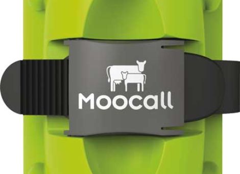 Ebenfalls von Horizont wurde der Moocall entwickelt, ein Abkalbesensor, der am Schwanz der Kuh angebracht wird und den Landwirt frühzeitig per SMS über eine anstehende Geburt informiert.