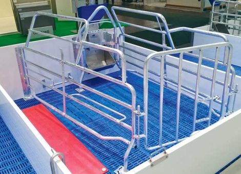 Bewegungs- und Freilaufbuchten für Sauen