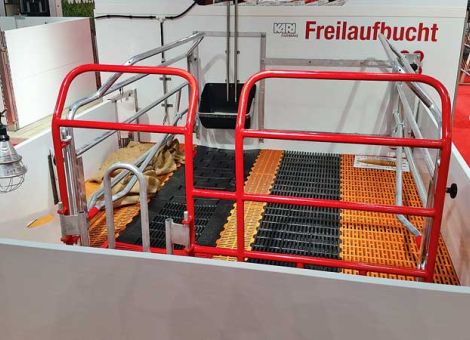 Bewegungs- und Freilaufbuchten für Sauen