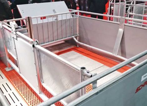 Bewegungs- und Freilaufbuchten für Sauen