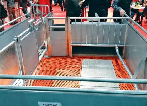 Bewegungs- und Freilaufbuchten für Sauen