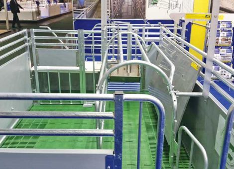 Bewegungs- und Freilaufbuchten für Sauen